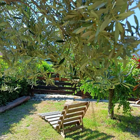 Rosina House E Guest house *